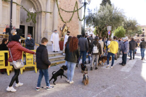 Sant Antoni Puçol